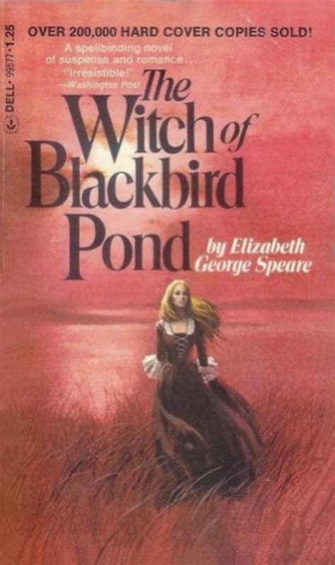 The witch of black bird pois